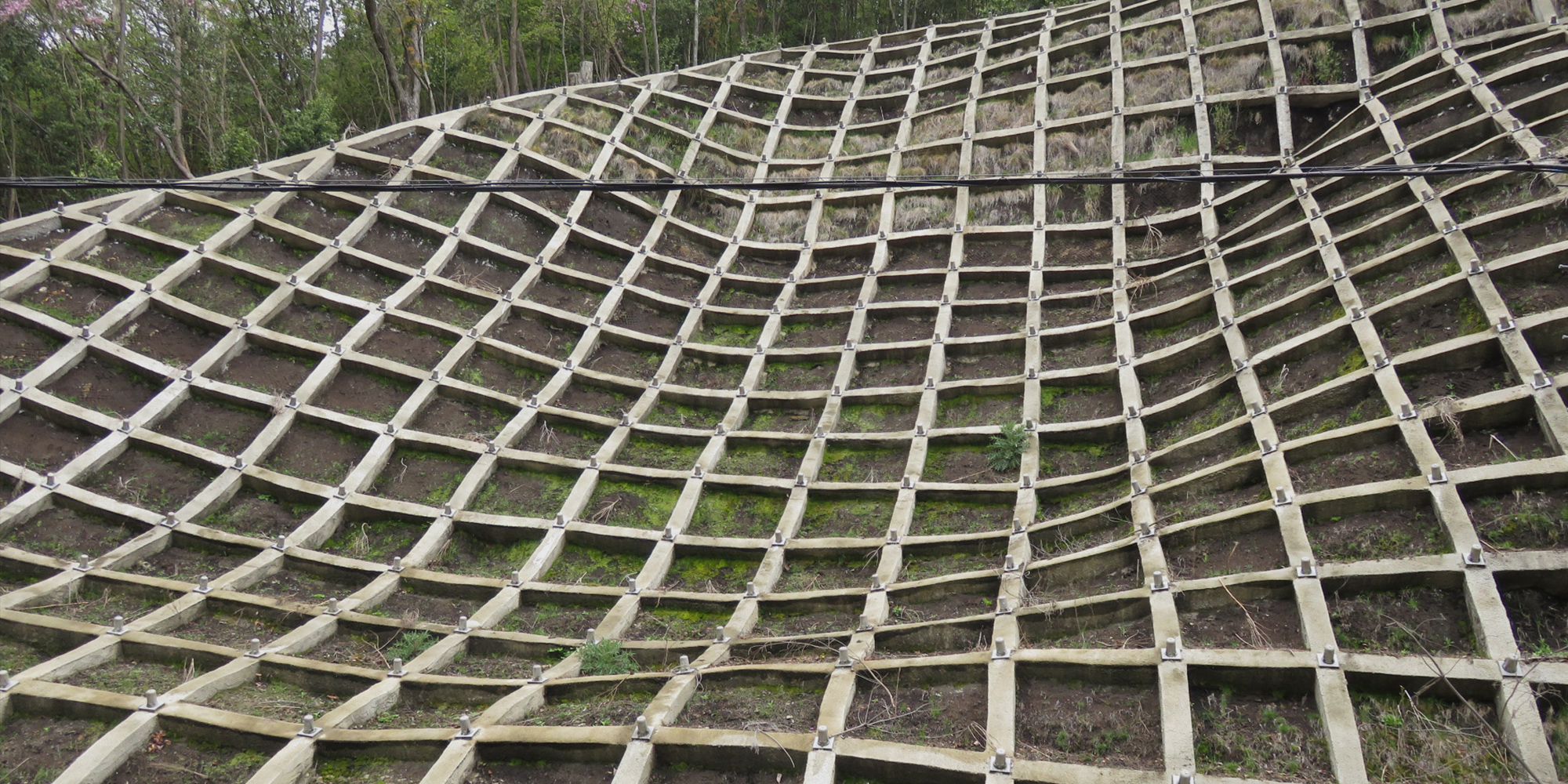 有限会社タケシマ