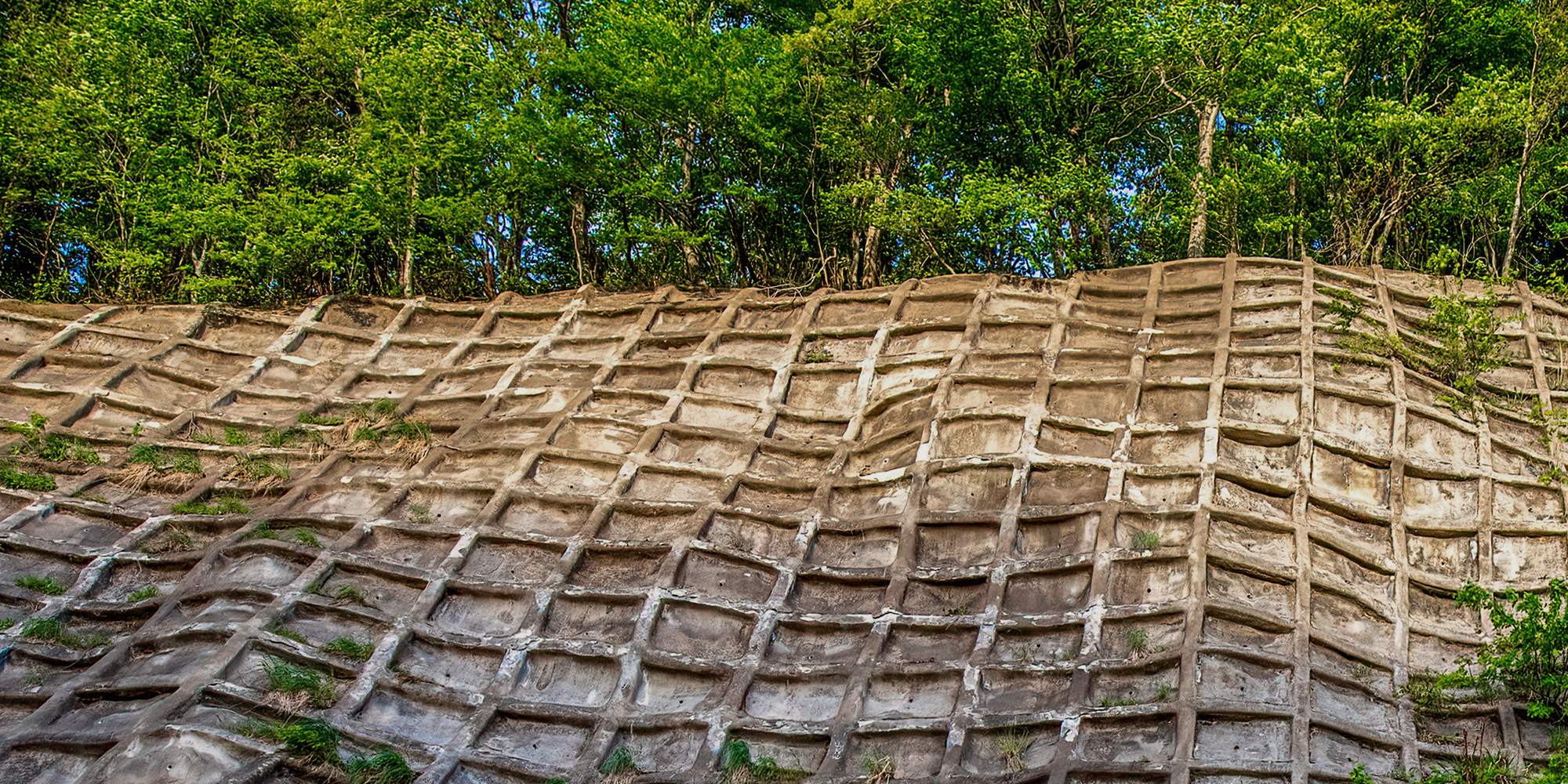 有限会社タケシマ
