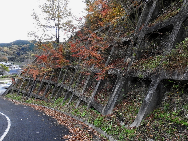 土木工事・法面工事