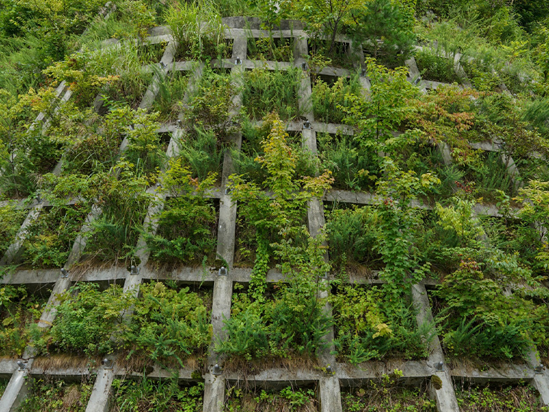 法面緑化工事